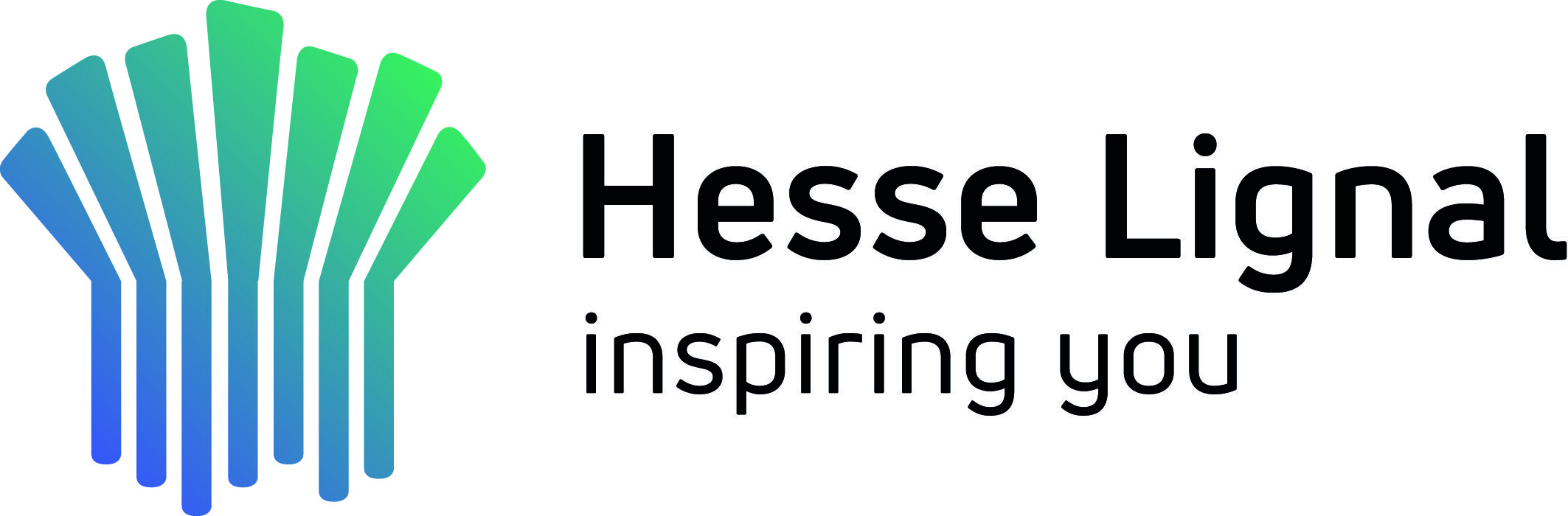 Hesse GmbH & Co. KG
