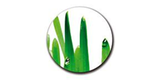 Helmich & Helmich GmbH
